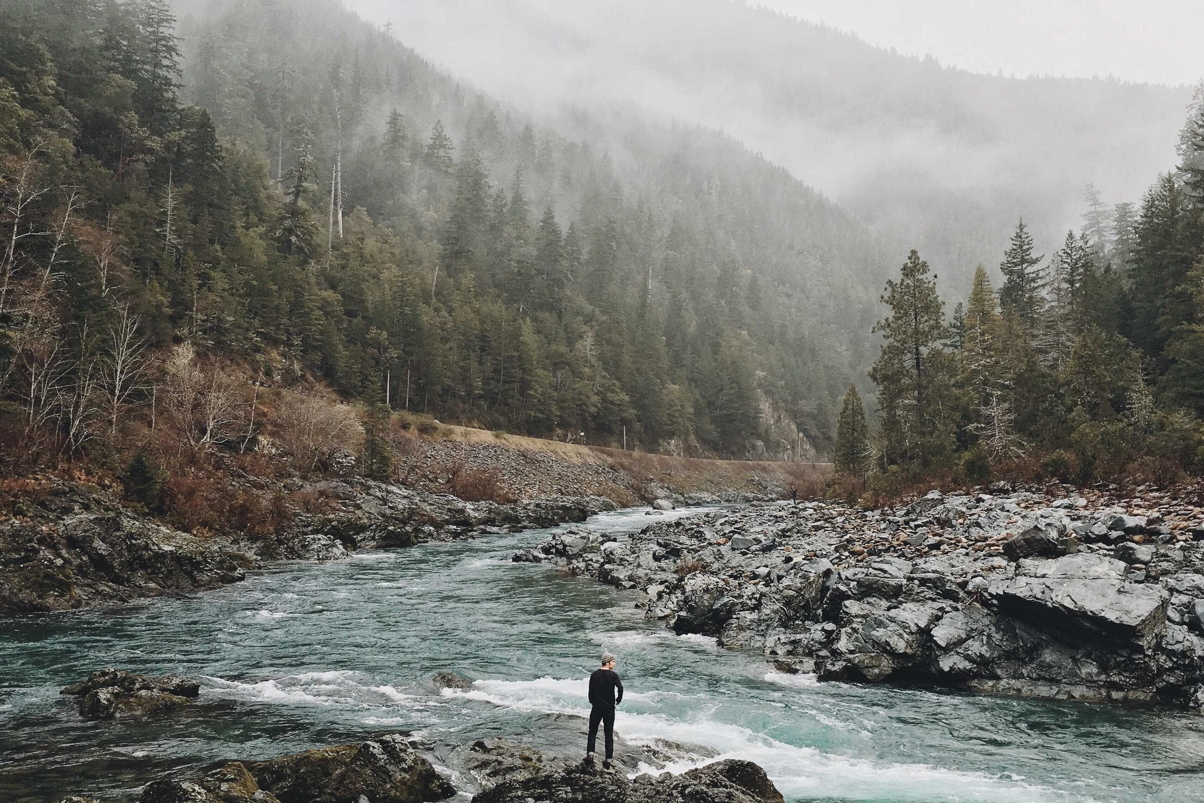 A landscape inside prose